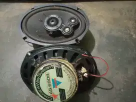 Speaker oval 4 way Boston