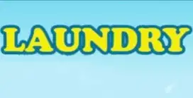 TENAGA KERJA LAUNDRY BERPENGALAMAN