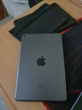 Ipad Mini 5 - Grey