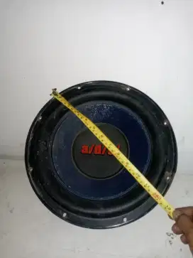 Speaker ads 12 inc 300 watt