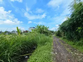 Di Jual tanah luasan kecil Pejeng