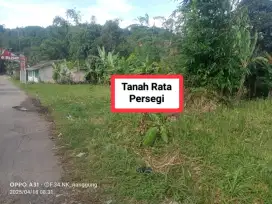 Jual tanah kebun murah nanggung lewiliang bgr