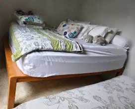 Jual Dipan jati belanda, kokoh
