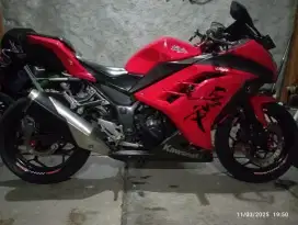 Kawasaki Ninja 250 / Ninfi