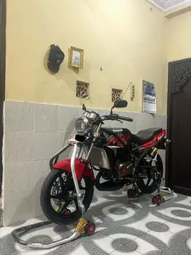 Ninja ss asli zebra