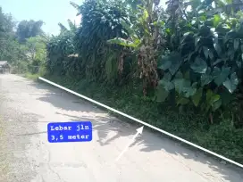 Jual tanah kebun murah nanggung lewiliang bgr barat