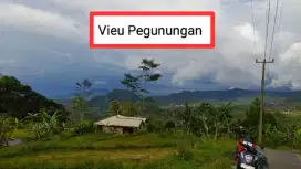 Jual tanah kebun murah nanggung lewiliang bgr barat