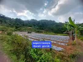 Jual tanah kebun murah suka jaya Cigudeg Bogor barat