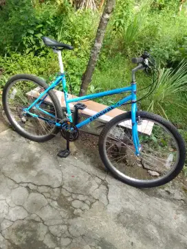 Sepeda Federal Wild Cat size frame 19