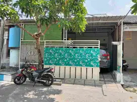 Di Driyorejo GMI