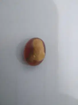 Mus_tika janin pelet kelas 1 pelintir jiwa