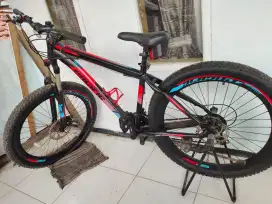 Sepeda pasific bx 351