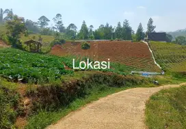 JUAL LAHAN PUNYA MATA AIR SENDIRI DI CIWIDEY