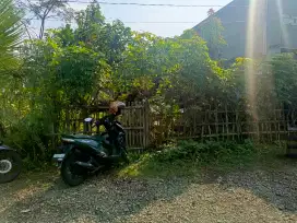 Tanah Murah Strategis Purwosari