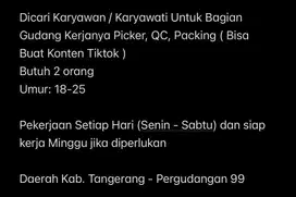 Lowongan Kerja Bagian Packing & QC Barang