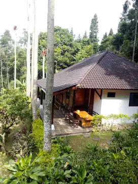 DIJUAL VILLA KAYU LUAS TANAH BESAR COCOK UNTUK CAFFE