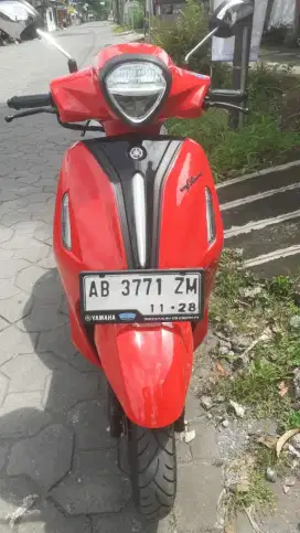 Gran Filano 2023 conetec
