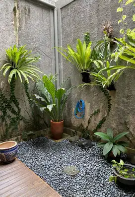Rumah Cantik Siap Huni Harga Menarik di Bintaro Sektor 9. 13755