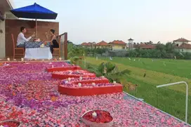 SEMINYAK BALI THE WINA VILLA RICE FIELD VIEW DIJUAL