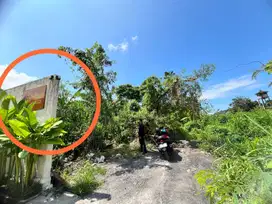 Jual Tanah Ubud 300m2 Lingkungan Villa - Villa