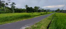 For Sale Tanah Di Tegallalang MURAH View Cantik Istimewa UnBlock View