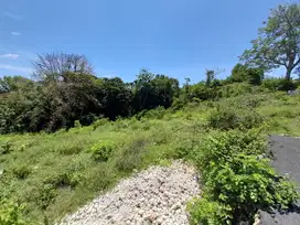Tanah Super Murah Full View Jimbaran Badung Bali