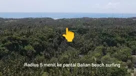 Tanah full view jungle dan sunset, 5 menit ke pantai Balian