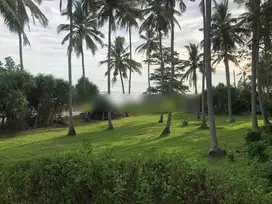 tanah los pantai beach front tabanan soka dkt tanah lot