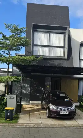 Shila sawangan Tilia