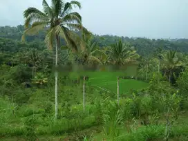 TANAH PREMIUM LOS SUNGAI AYUNG UBUD PAYANGAN