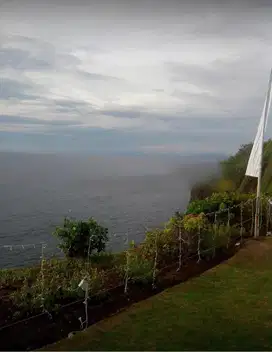 TANAH SUPER LANGKA Los Tebing clift front jimbaran uluwatu pecatu dkt
