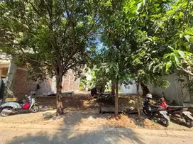 DIJUAL Kavling Katamaran Indah PIK Hadap Utara (371m2)