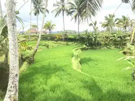 Tanah Termurah Pinggir jalan Utama full view sawah tegalalang ubud