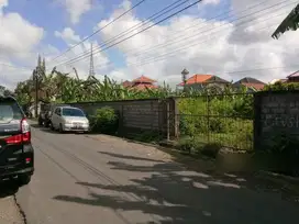 TANAH PREMIUM CIUNG WANARA RENON DENPASAR