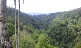 Tanah LOS SUNGAI View Junggle Depan Hotel Anantara