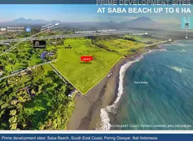 TANAH Langka dan Murah Los Pantai beach front