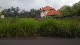 Tanah di ubud dkt central view sawah sriwedari