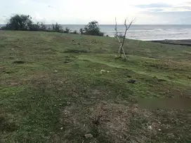 Tanah los pantai beach front pantai nyanyi badung cemagi