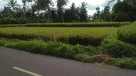 Tanah 5 menit Ke Central Ubud tirtatawar junjungan full view sawah