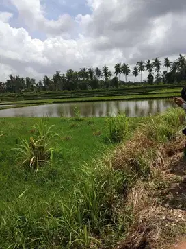 Tanah dkt central ubud samping hotel dan lingkungan villa