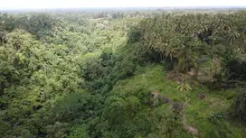 Tanah premium los sungai lembah sawah ubud pejeng /tengkulak/ ubud