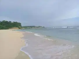 Dijual tanah loss pantai Selatan Beralewa,Sumba Barat.NTT