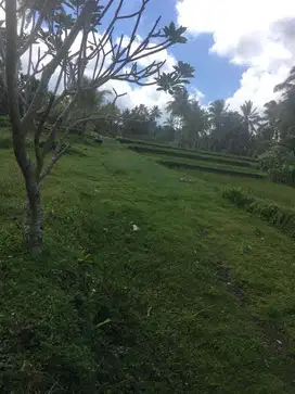 Tanah Super Murah full view junggle los sungai samping capela ubud
