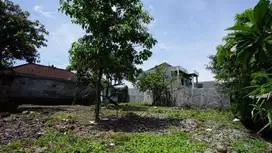 Tanah super langka dan murah di seminyak bidadari legian sunset Road