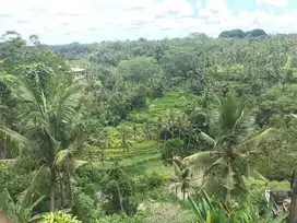TANAH SUPER LANGKA Central ubud Los sungai ayung full view sawah