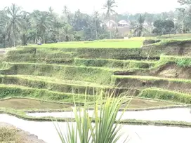 Tanah Cantik Full View sawah dan sungai di Ubud Kendran dkt Hotel