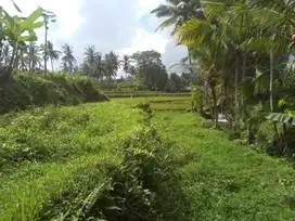 Tanah central ubud for rent disewakan dkt restaurant villa komersil