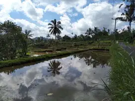 Tanah super murah Los sungai Ayung ubud payangan gianyar bali