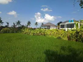 Tanah Pinggir Jalan utama Uma Buluh Canggu Badung