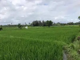 Tanah super murah di canggu tumbak bayuh lingkungan villa